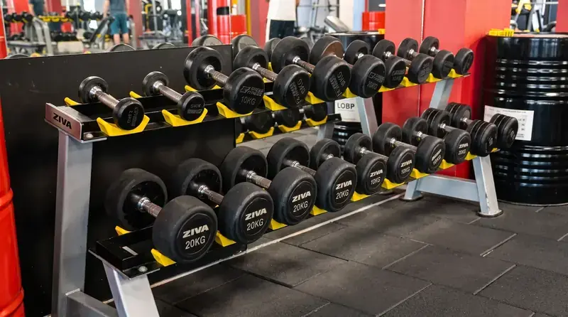 Bayrampaşa Crunch Fitness Biceps ve Triceps İzole Antrenman İstasyonu